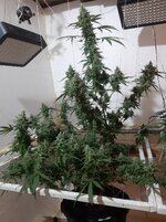 20260212_054959.jpg 20260212_054959.jpg