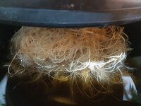 20260212_054947.jpg 20260212_054947.jpg