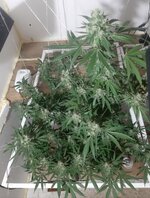 20260212_060220.jpg 20260212_060220.jpg