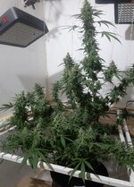 20260212_060208.jpg 20260212_060208.jpg