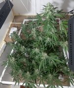 20260212_060450.jpg 20260212_060450.jpg