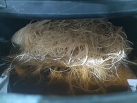 20260212_060502.jpg 20260212_060502.jpg