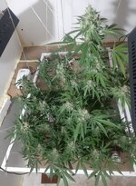 20260212_061827.jpg 20260212_061827.jpg