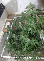 20260212_062346.jpg 20260212_062346.jpg