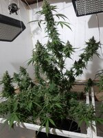 20260212_062331.jpg 20260212_062331.jpg