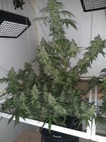 20260212_062357.jpg 20260212_062357.jpg