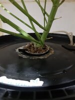 20260212_062254.jpg 20260212_062254.jpg