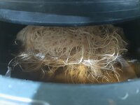 20260212_062306.jpg 20260212_062306.jpg