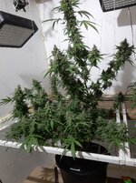 20260212_063236.jpg 20260212_063236.jpg