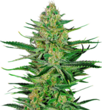 1770881090660.png 1770881090660.png