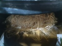 20260213_053659.jpg 20260213_053659.jpg