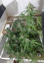 20260213_054146.jpg 20260213_054146.jpg