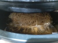 20260213_054413.jpg 20260213_054413.jpg