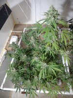 20260213_055744.jpg 20260213_055744.jpg