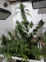 20260213_060101.jpg 20260213_060101.jpg