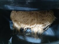 20260213_060043.jpg 20260213_060043.jpg