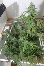 20260213_060619.jpg 20260213_060619.jpg