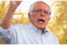 1771001416289.png 1771001416289.png