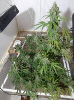 20260214_064927.jpg 20260214_064927.jpg