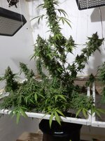 20260214_064859.jpg 20260214_064859.jpg