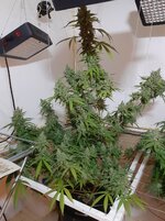 20260214_064846.jpg 20260214_064846.jpg