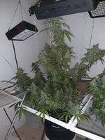 20260214_064834.jpg 20260214_064834.jpg