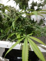 20260214_064913.jpg 20260214_064913.jpg