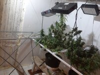 20260214_065445.jpg 20260214_065445.jpg