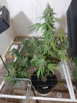 20260214_065713.jpg 20260214_065713.jpg