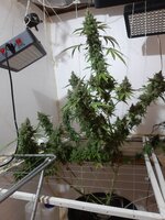 20260214_065724.jpg 20260214_065724.jpg