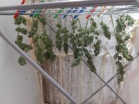 20260214_065735.jpg 20260214_065735.jpg