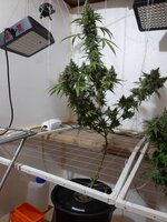 20260214_070246.jpg 20260214_070246.jpg