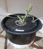 20260214_070155.jpg 20260214_070155.jpg