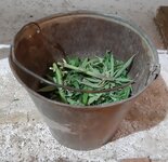 20260214_070144.jpg 20260214_070144.jpg