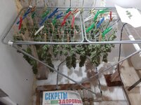 20260214_070211.jpg 20260214_070211.jpg