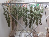 20260214_070224.jpg 20260214_070224.jpg