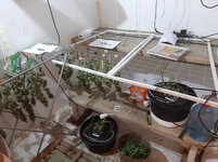 20260214_072811.jpg 20260214_072811.jpg