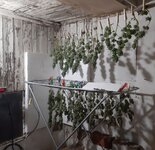 20260214_072731.jpg 20260214_072731.jpg