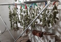 20260214_072753.jpg 20260214_072753.jpg