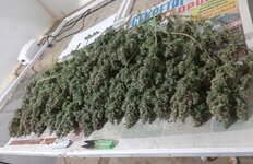 20260214_075712.jpg 20260214_075712.jpg