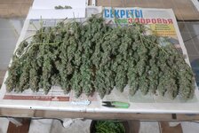 20260214_075725.jpg 20260214_075725.jpg