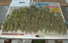 20260214_075702.jpg 20260214_075702.jpg