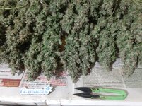 20260214_080026.jpg 20260214_080026.jpg