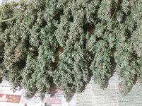 20260214_080003.jpg 20260214_080003.jpg