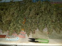 20260214_080014.jpg 20260214_080014.jpg