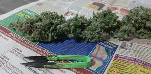 20260214_075936.jpg 20260214_075936.jpg