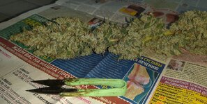 20260214_080037.jpg 20260214_080037.jpg