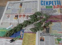 20260214_075949.jpg 20260214_075949.jpg