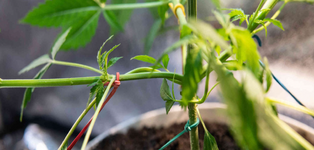 1771345308120.png 1771345308120.png