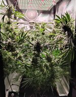 Day 109 (19.02) (3).jpg